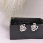 Säravad hõbedased klipsid