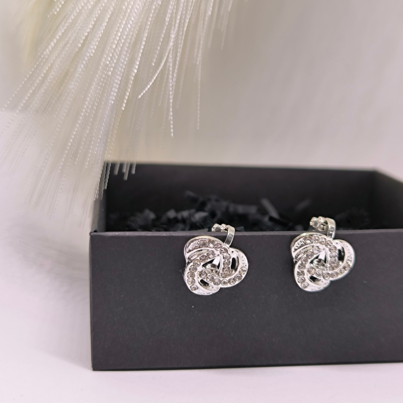 Säravad hõbedased klipsid