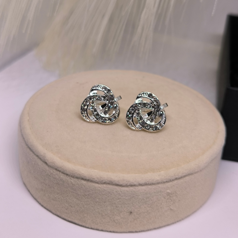 Säravad hõbedased klipsid