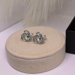 Säravad hõbedased klipsid