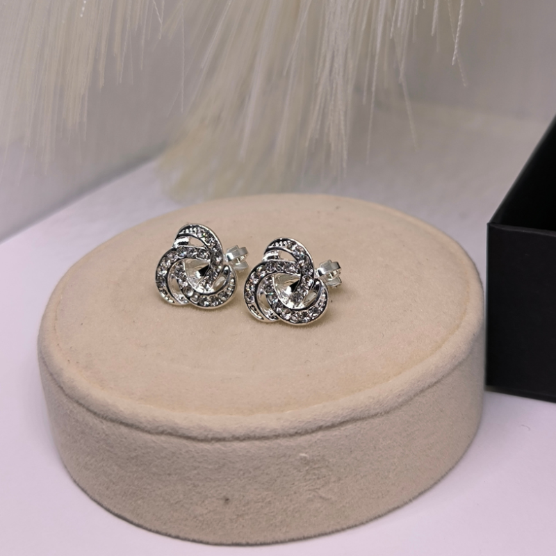 Säravad hõbedased klipsid