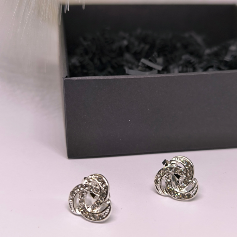 Säravad hõbedased klipsid