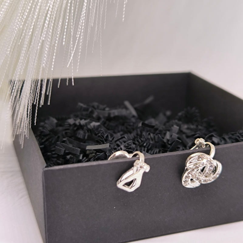 Säravad hõbedased klipsid