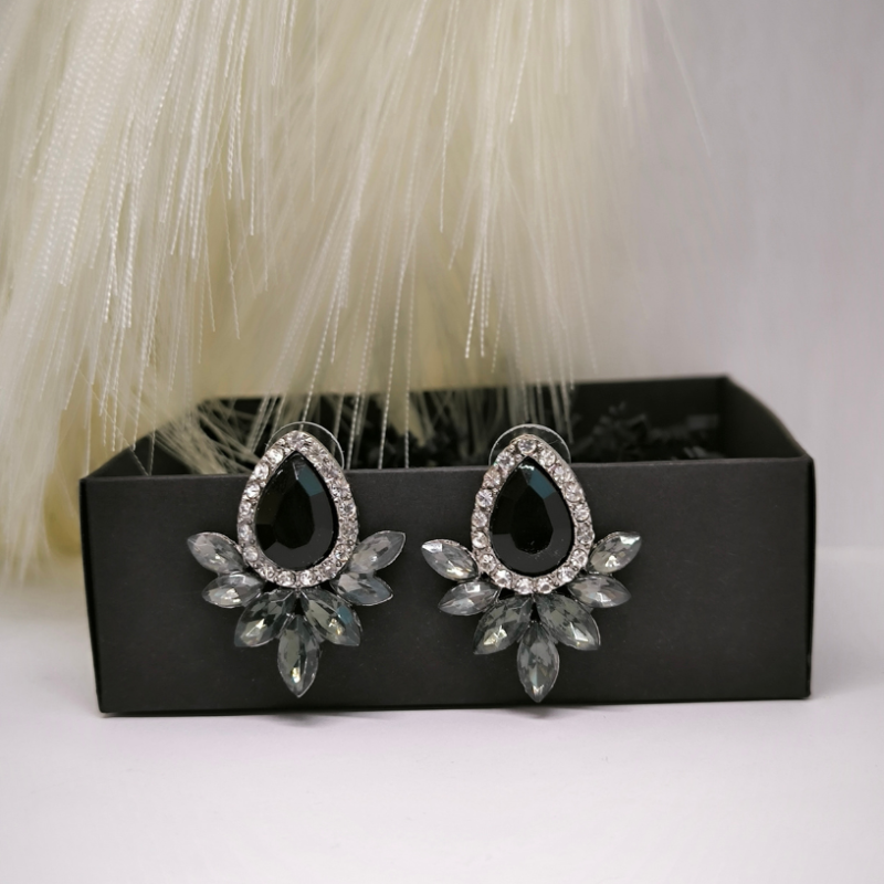 Nooruslikud kõrvarõngad kristalliga