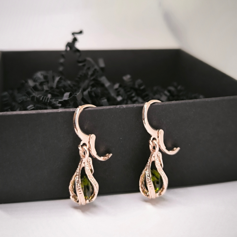 Pisarakujulised elegantsed kõrvarõngad