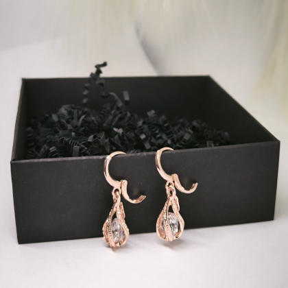 Pisarakujulised elegantsed kõrvarõngad