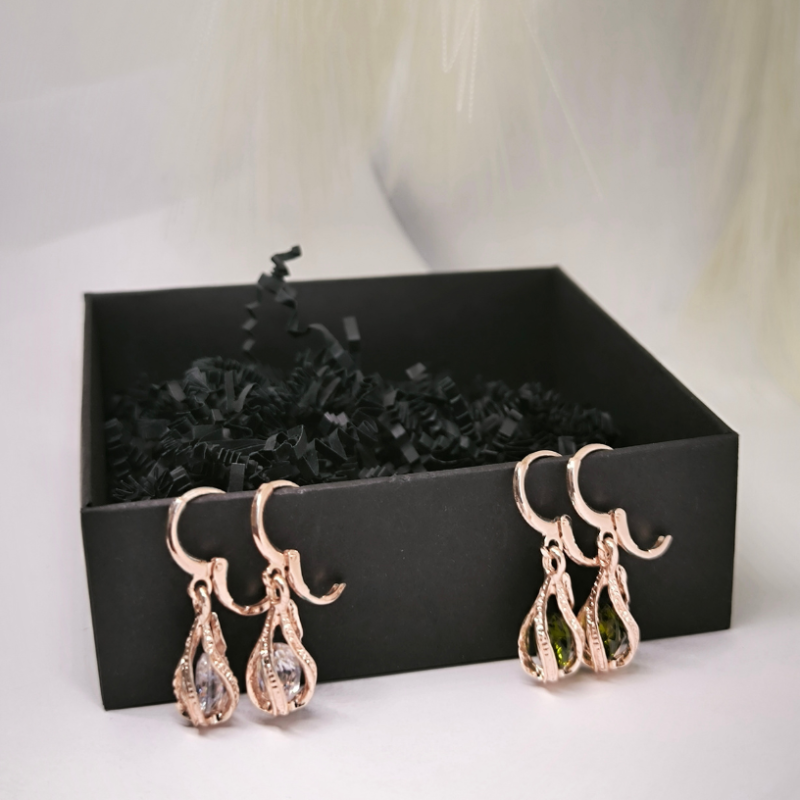 Pisarakujulised elegantsed kõrvarõngad