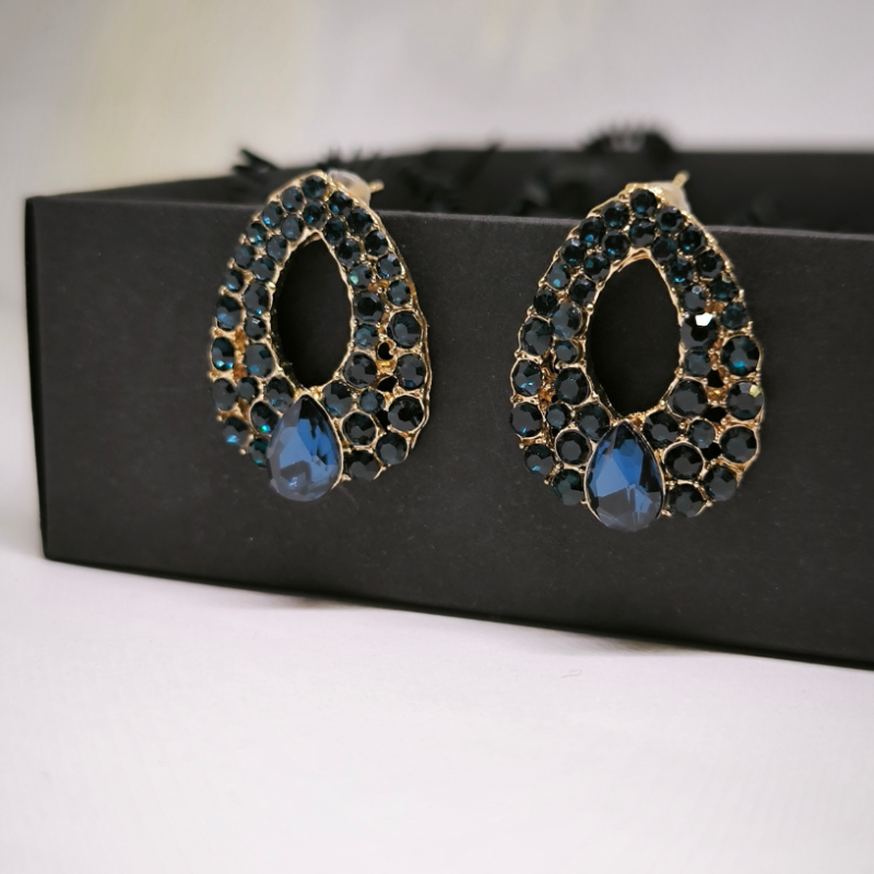 Pisarakujulised kõrvarõngad kristallidega