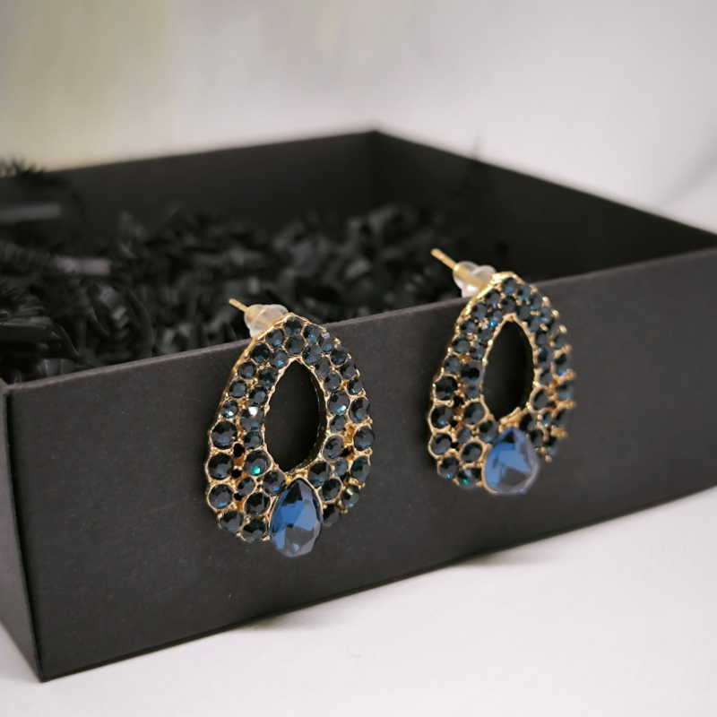 Pisarakujulised kõrvarõngad kristallidega