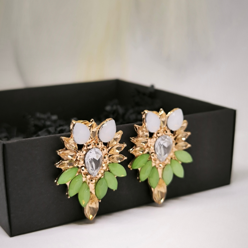 Kaunid kristalliga kõrvarõngad