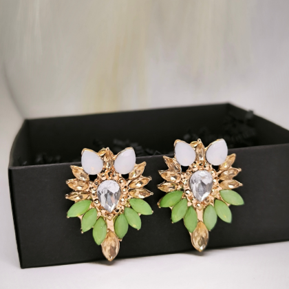 Kaunid kristalliga kõrvarõngad