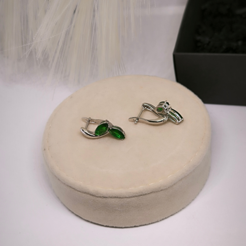 Väljendusrikka disainiga naiste kõrvarõngad tsirkooniga