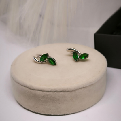 Väljendusrikka disainiga naiste kõrvarõngad tsirkooniga