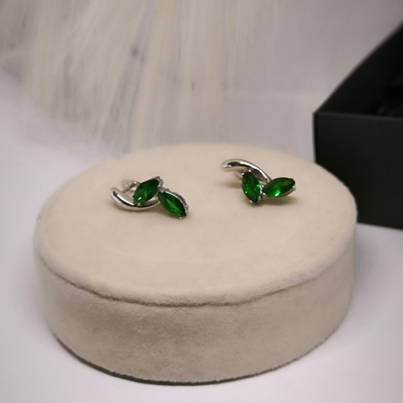 Väljendusrikka disainiga naiste kõrvarõngad tsirkooniga