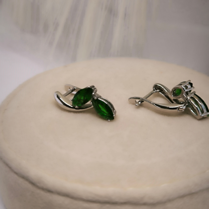 Väljendusrikka disainiga naiste kõrvarõngad tsirkooniga