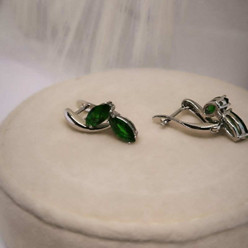 Väljendusrikka disainiga naiste kõrvarõngad tsirkooniga