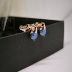 Elegantne pidulikud kõrvarõngad värvilise kristalliga