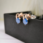 Elegantne pidulikud kõrvarõngad värvilise kristalliga