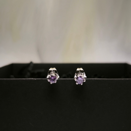 Peene disainiga naiste kõrvarõngad tsirkooniumiga