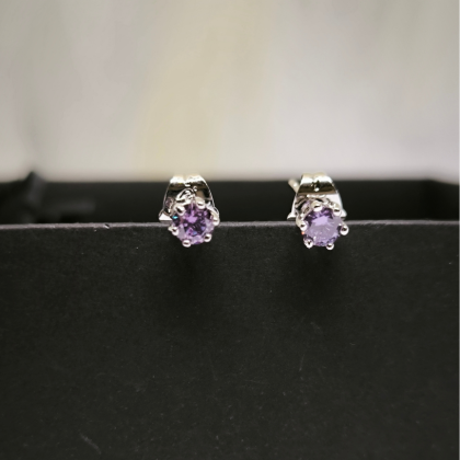 Peene disainiga naiste kõrvarõngad tsirkooniumiga