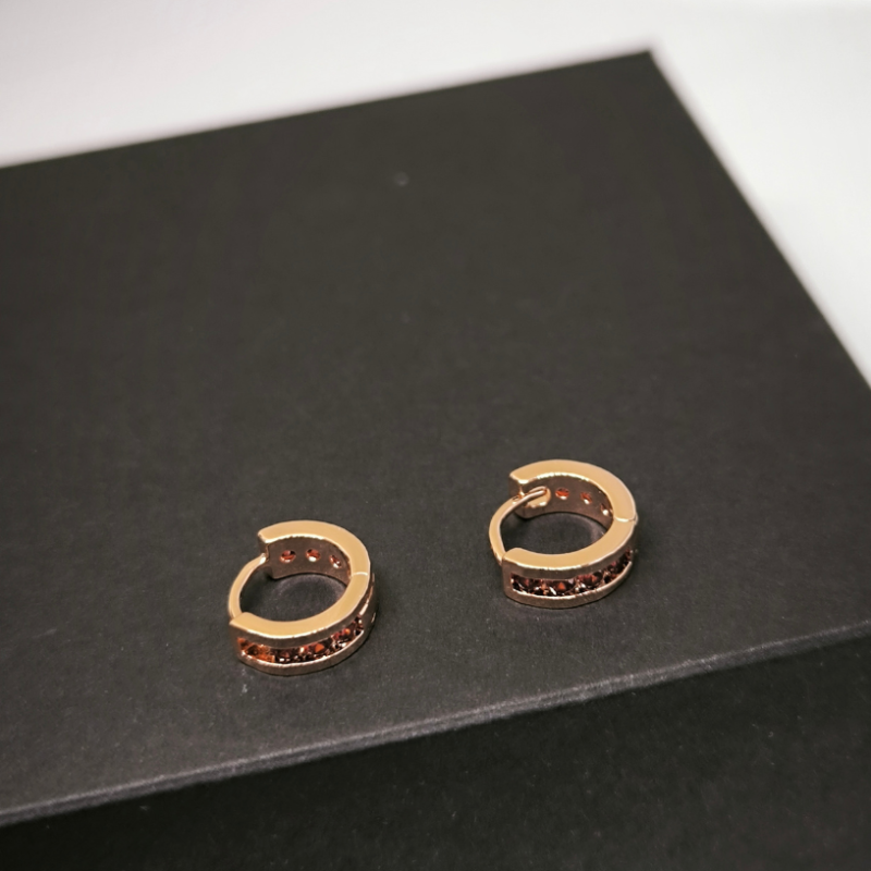 Zirkooniga rõngaskujulised kõrvarõngad