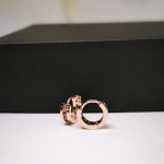 Zirkooniga rõngaskujulised kõrvarõngad