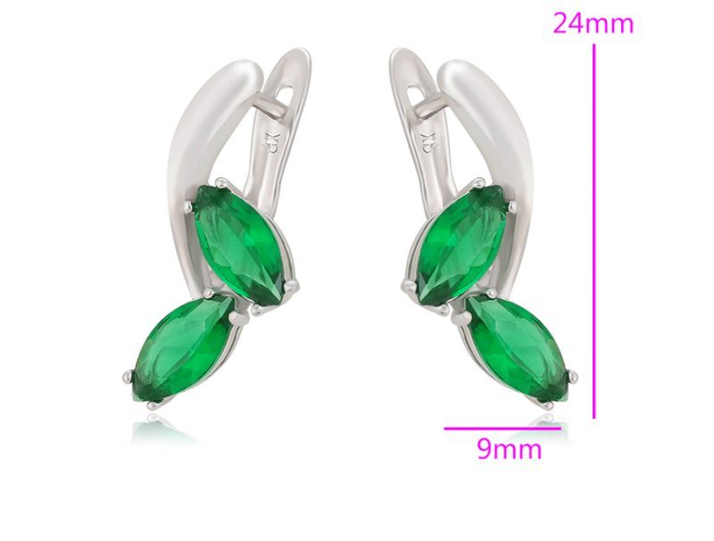 Väljendusrikka disainiga naiste kõrvarõngad tsirkooniga