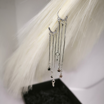 Kõrgekvaliteedilised hõbedavärvi naiste kõrvarõngad