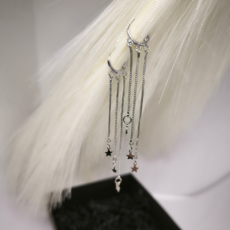 Kõrgekvaliteedilised hõbedavärvi naiste kõrvarõngad