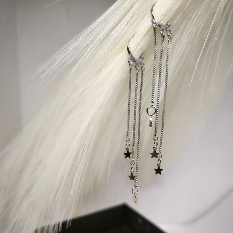 Kõrgekvaliteedilised hõbedavärvi naiste kõrvarõngad