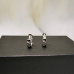 Moodsa disainiga tsirkooniumiga rõngaskujulised kõrvarõngad