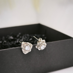 Peen roosikujulised kõrvarõngad tsirkooniumiga