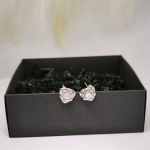 Peen roosikujulised kõrvarõngad tsirkooniumiga