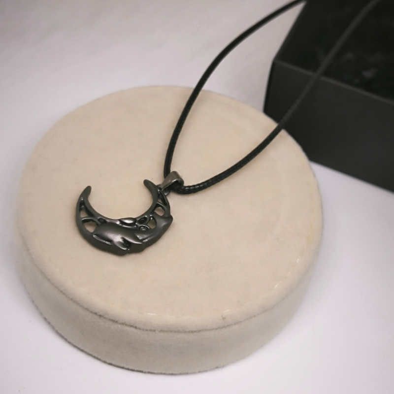 Magnetiliste ehete komplekt paarile "Kuu"