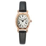 Igapäevaseks kasutamiseks sobiv elegantne kell