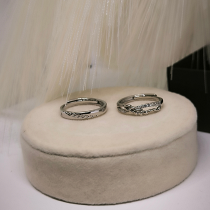 Sõrmuste komplekt paarile "Täiuslikkus"