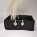 Luksuslikud klambrid „Härmatise elegants“