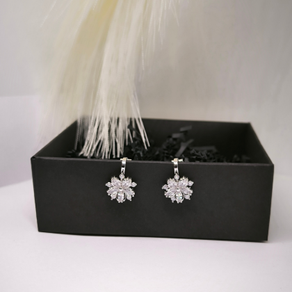 Luksuslikud klambrid „Härmatise elegants“