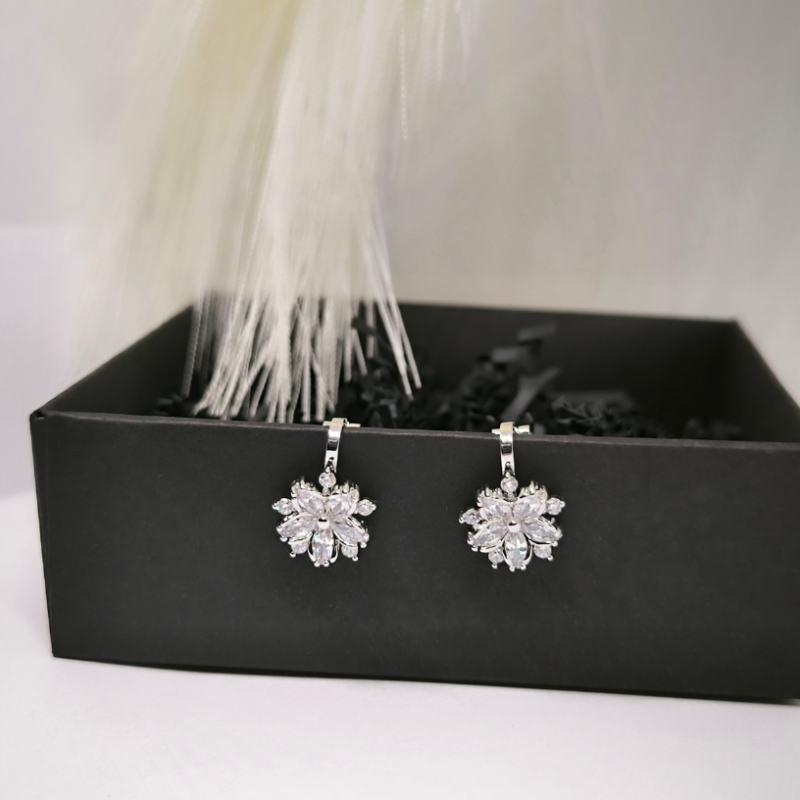 Luksuslikud klambrid „Härmatise elegants“