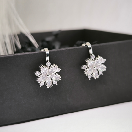 Luksuslikud klambrid „Härmatise elegants“