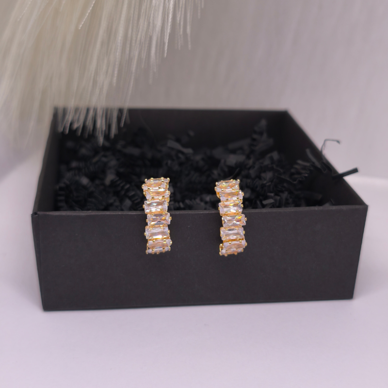 Kõrvarõngad - klipid „Luksus“