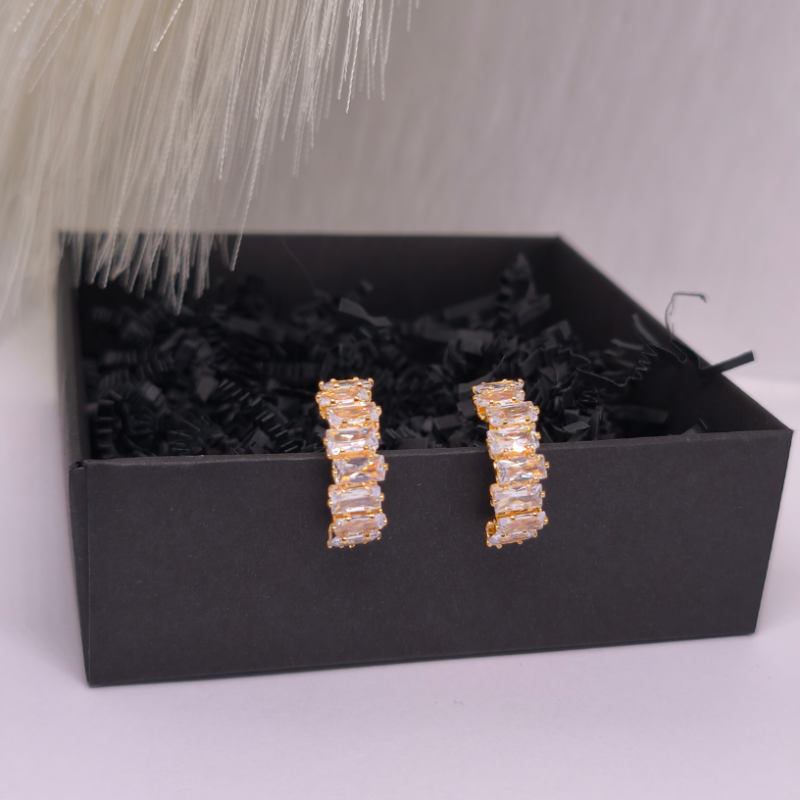 Kõrvarõngad - klipid „Luksus“