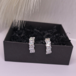 Kõrvarõngad - klambrid „Valge sära“