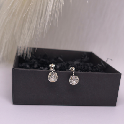 Kõrvarõngad - klambrid „Läbipaistev klassika“