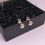 Kõrvarõngad - klambrid „Läbipaistev klassika“