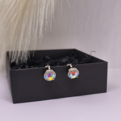 Kõrvarõngad - klipsid „Värvide mäng“