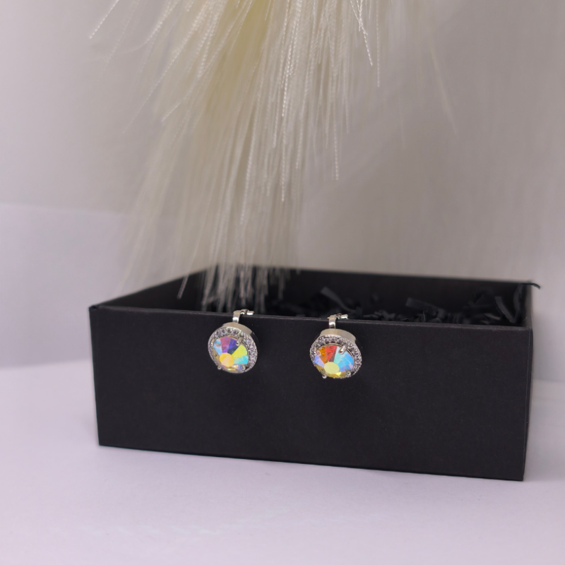 Kõrvarõngad - klipsid „Värvide mäng“