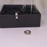 Klipsid „Hõbeaktsent“