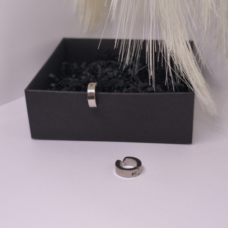 Klipsid „Hõbeaktsent“