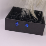 Magnetilised kõrvarõngad „Kuninglik safiir“